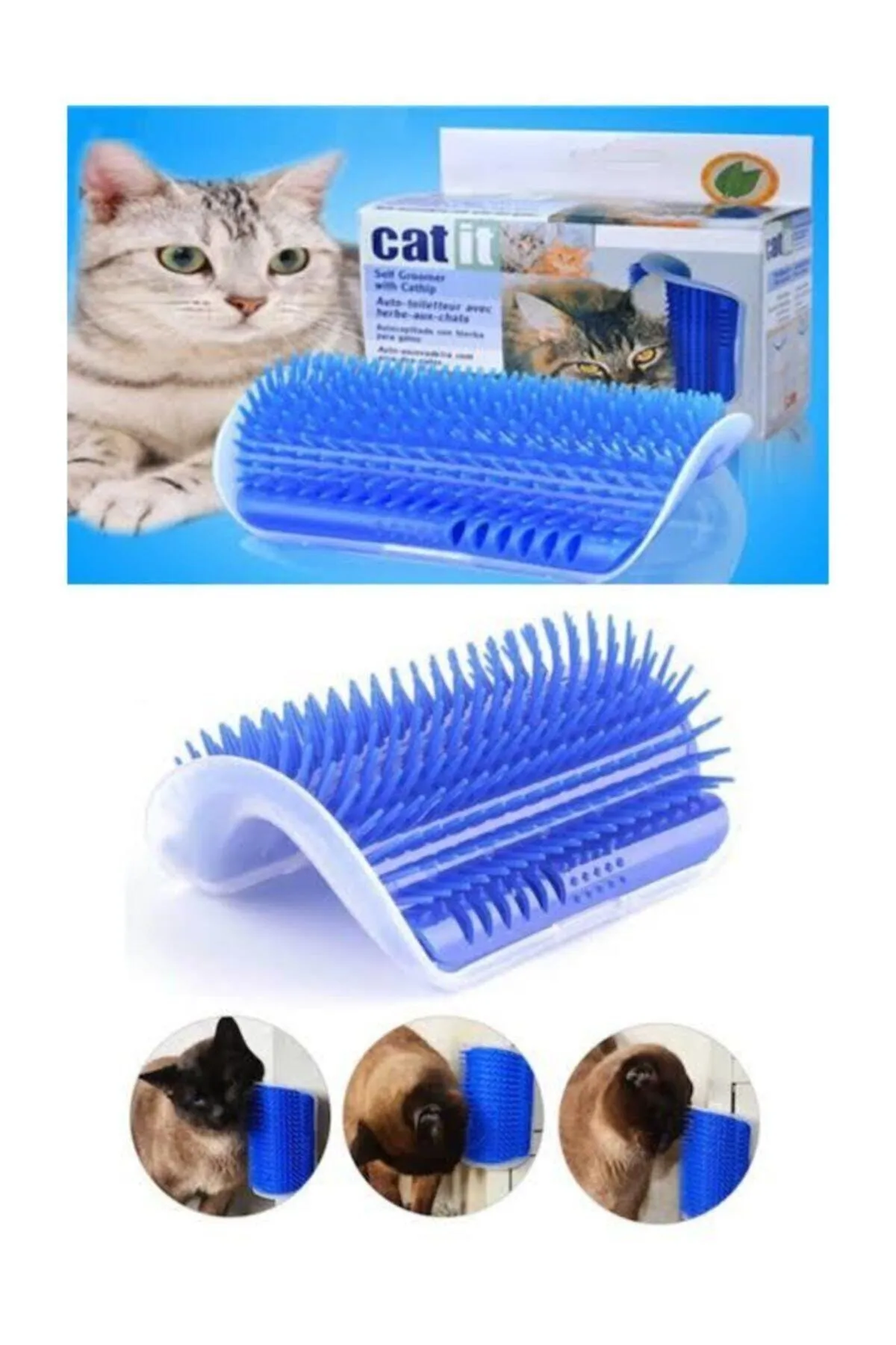 KEDİ KAŞIMA CATİT