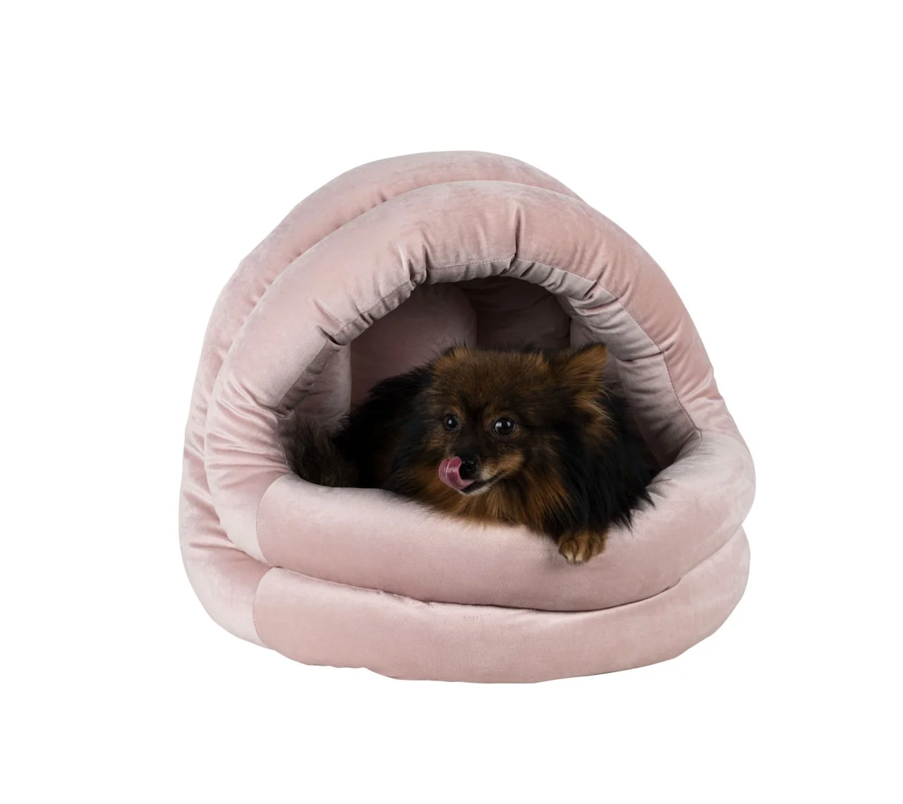 LİON KÖPEK YATAĞI-KREM