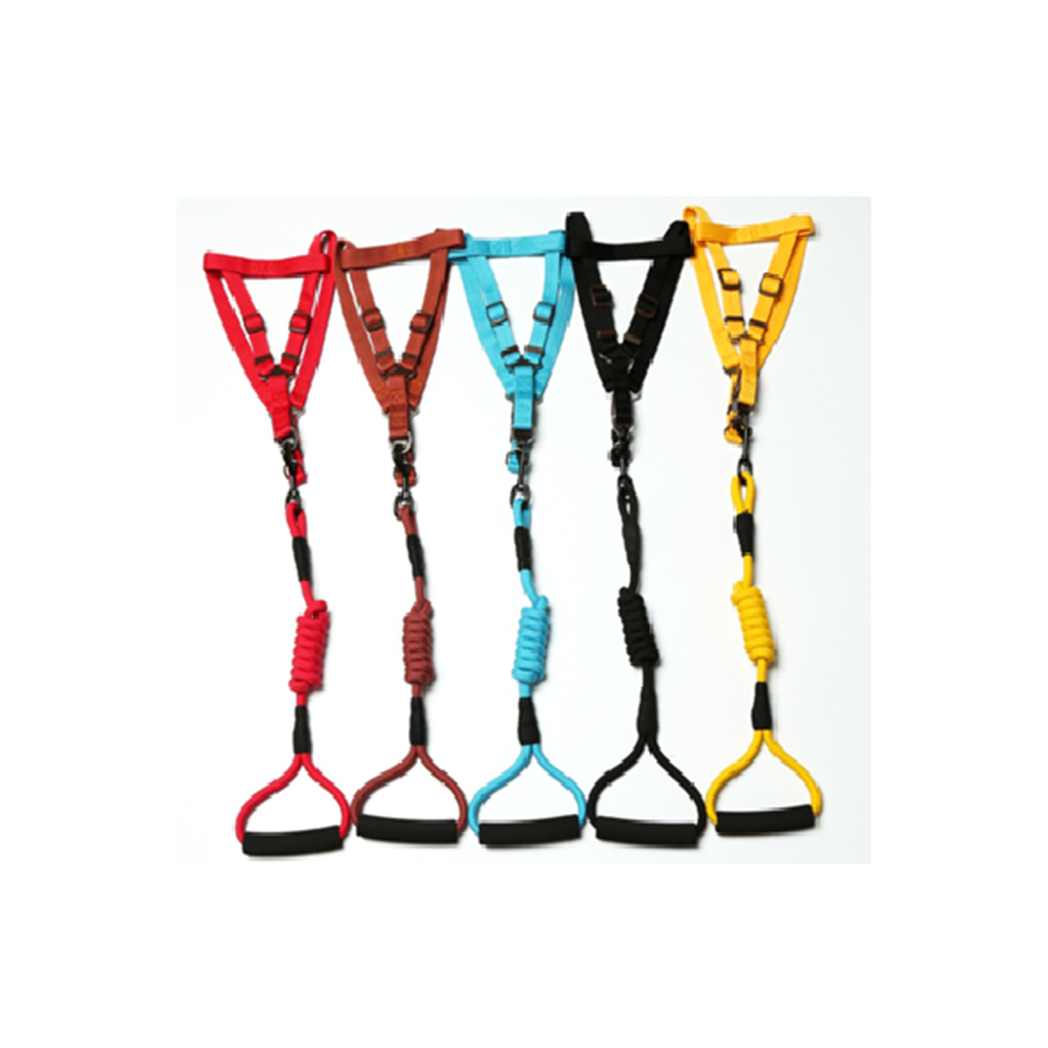 Gögüs LİON Takım Tasma 1.0*1.2m+2.0cm