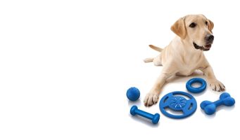 KÖPEK OYUNCAKLARI