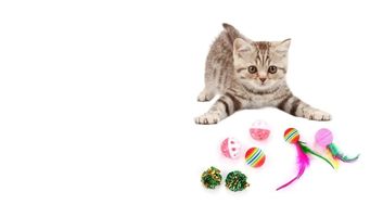 KEDİ OYUNCAKLARI